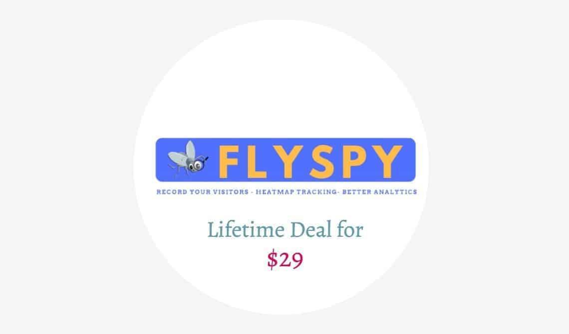 flyspy ltd