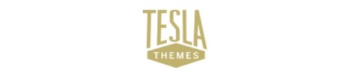 Tesla login customizer bundle