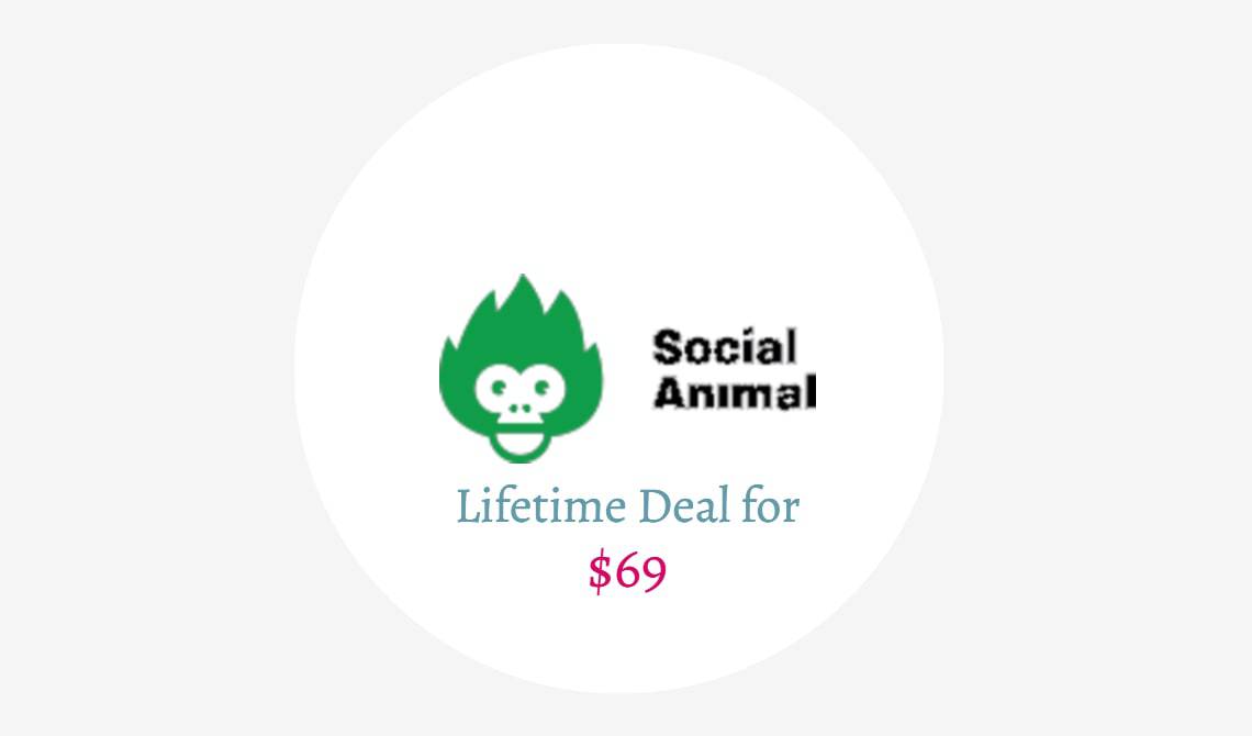 social animal lifetime deal
