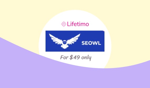 SEOwl Lifetime Deal