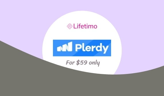 Plerdy Lifetime Deal