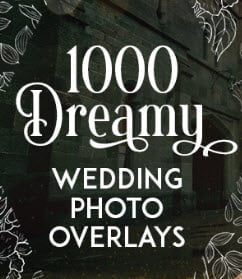 1000 Dreamy Wedding Photo logo