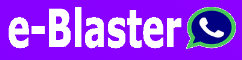 e-blaster logo