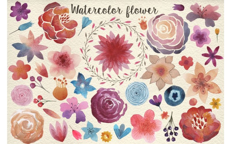 1000+ Watercolor Clipart Collection Lifetime Bundle Deal Image II