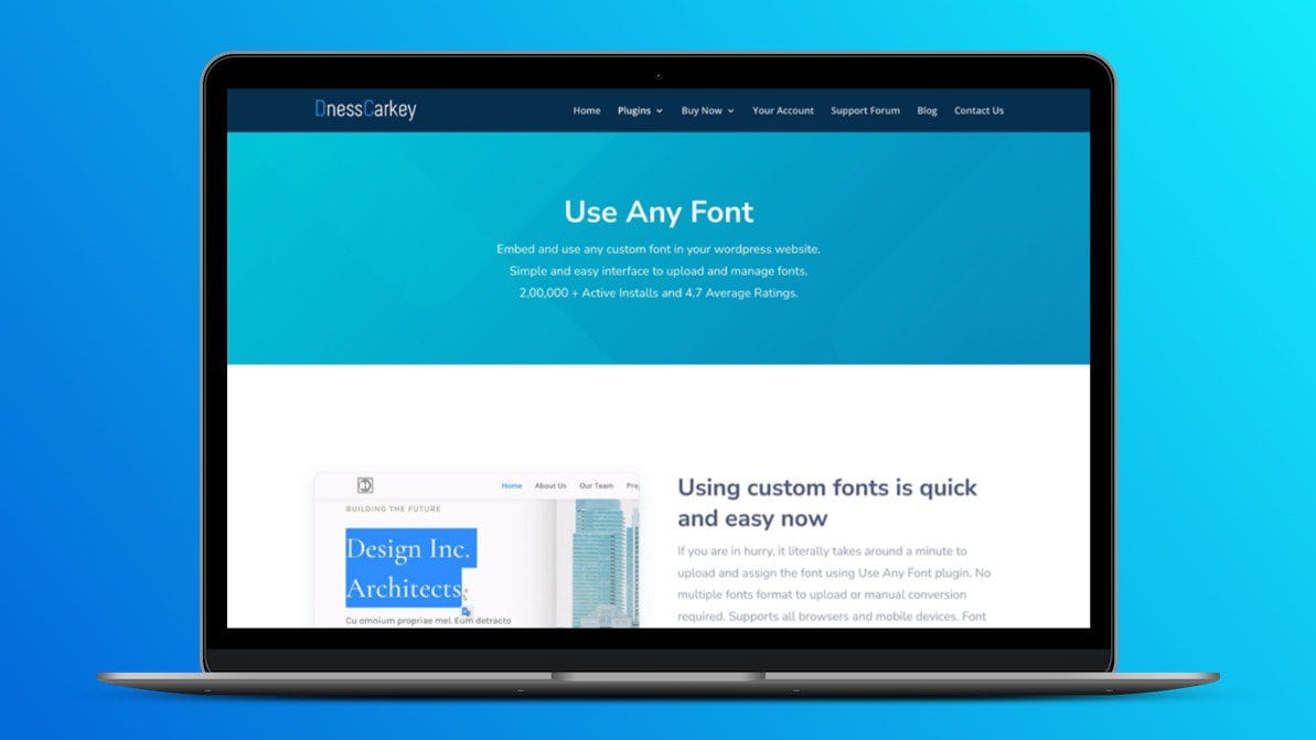 Use Any Font Premium Plugin Lifetime Deal | Get Extra 20% OFF