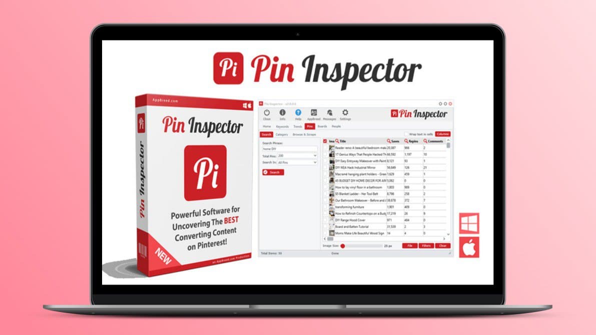 Pin Inspector Lifetime Deal | Get $30 OFF