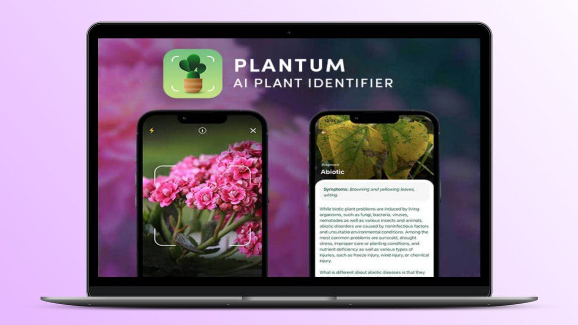 Plantum Lifetime Deal 🌱 AI Plant Identifier