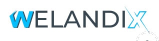 Welandix Lifetime Deal Logo