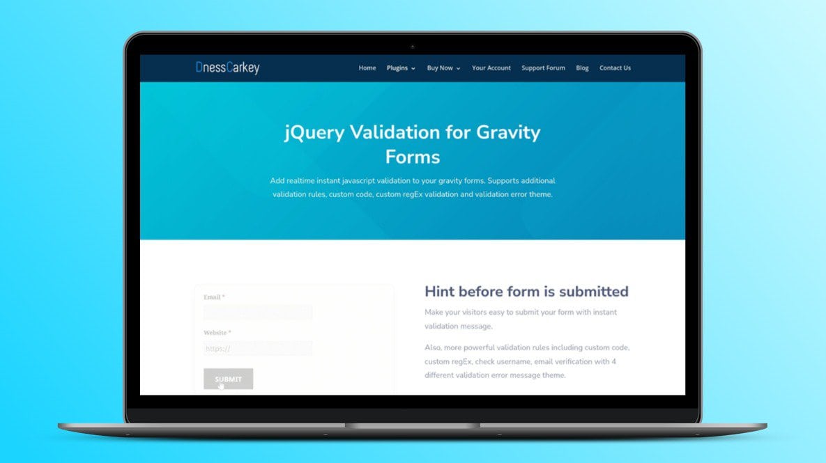 Jquery Validation For Gravity Forms Lifetime Deal Image