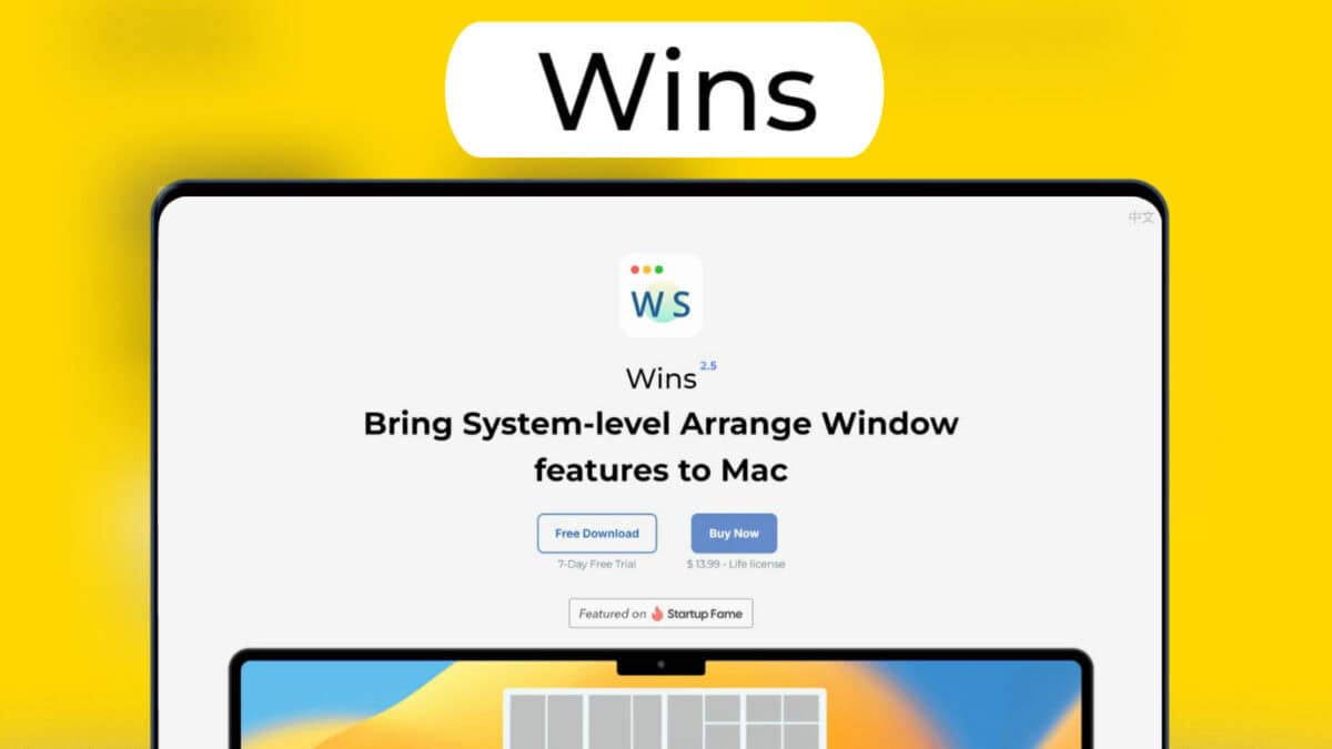 Wins Lifetime Deal Image