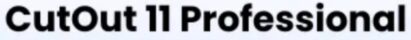 Cutout 11 profeesional logo