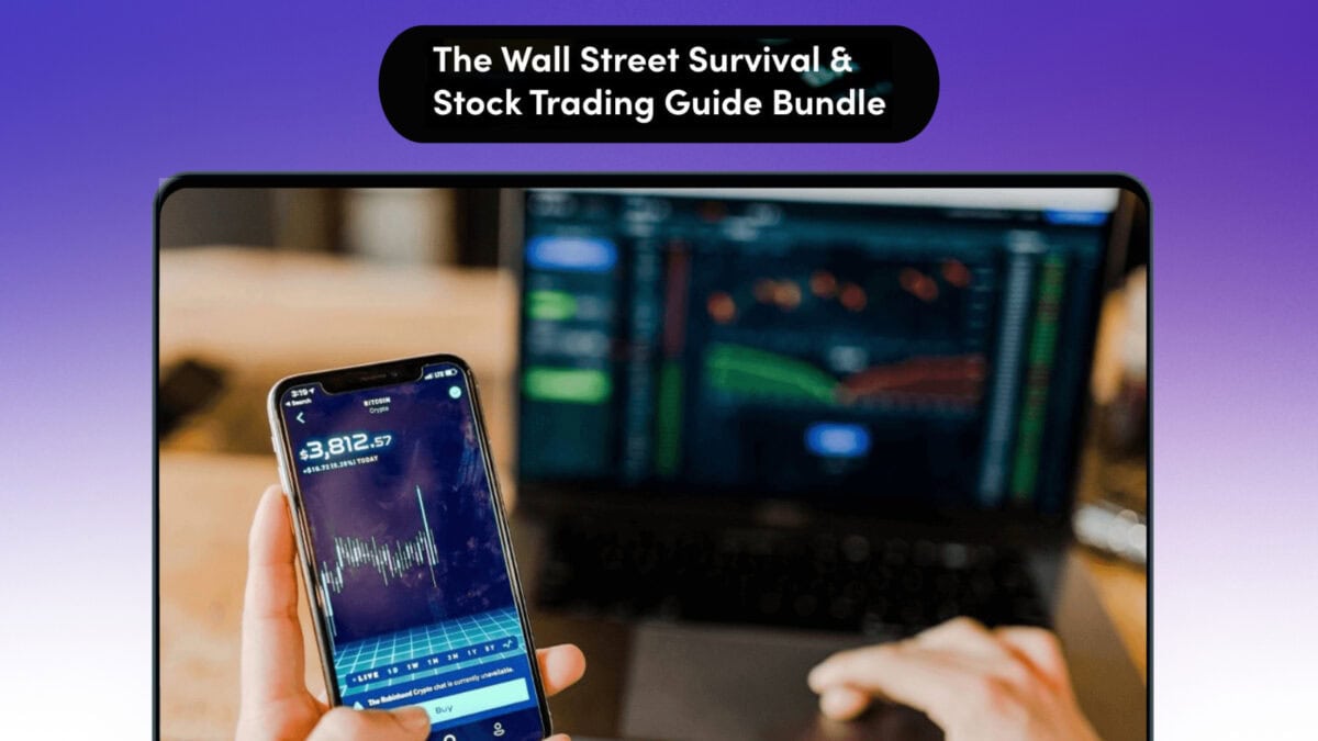 The Wall Street Survival & Stock Trading Guide Bundle image